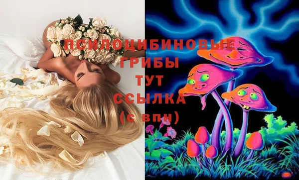 apvp Покачи