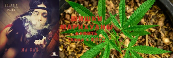 apvp Покачи