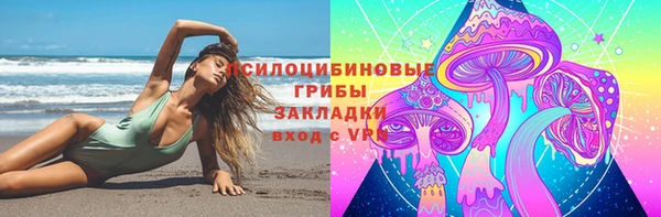 apvp Покачи