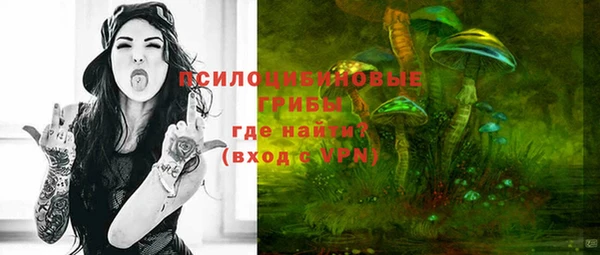 apvp Покачи